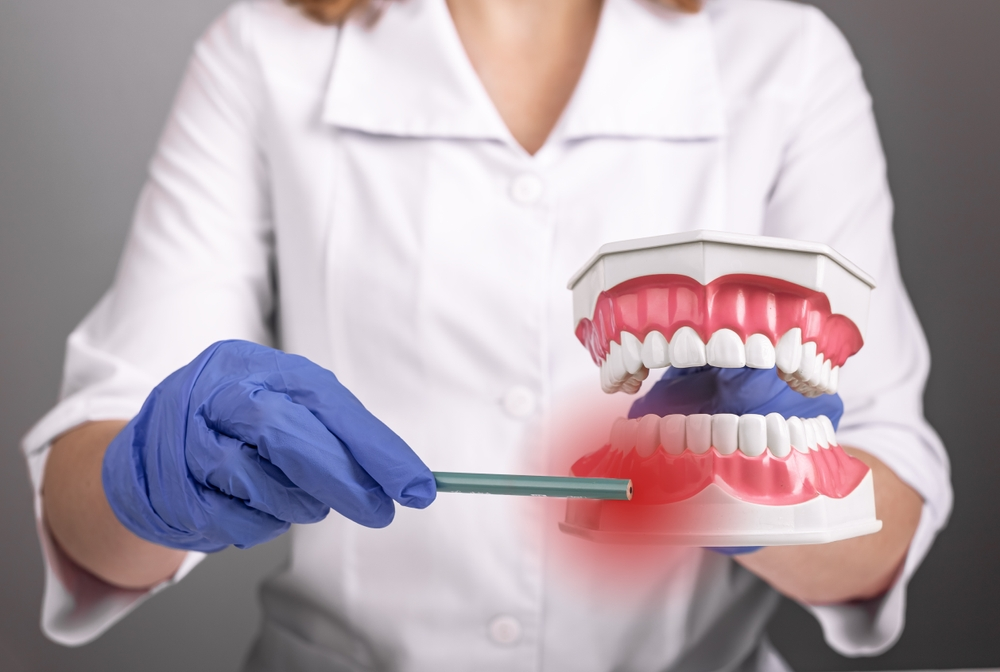 Dental model held by a dentist or assistant, showing upper and lower teeth while pointing with a dental probe toward the bite area.